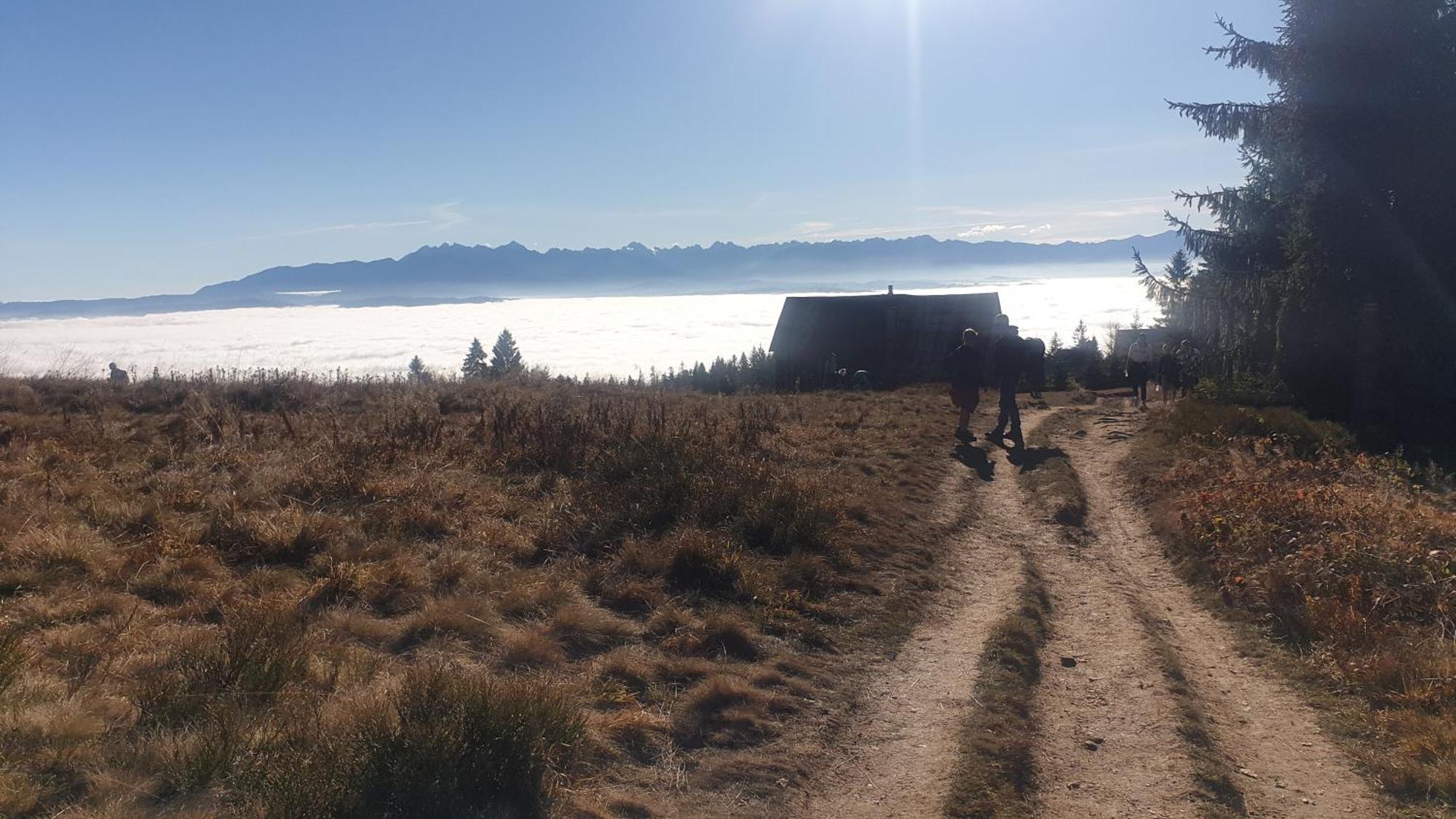 Bukowina Tatrzanska -Czarna Gora- Black Apart- Widok Na Tatry, Jacuzzi, Bilard, Game Room Bukowina Tatrzańska Exterior foto
